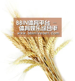 BBIN体育平台 - 体育娱乐综合平台