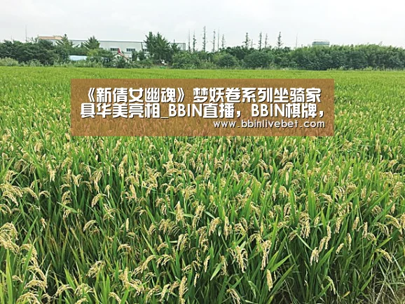 BBIN直播，BBIN棋牌，BBIN下载，BBIN捕鱼